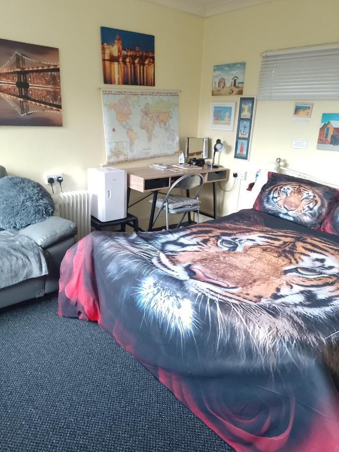 Studio Pad Lejlighed Cardiff Eksteriør billede