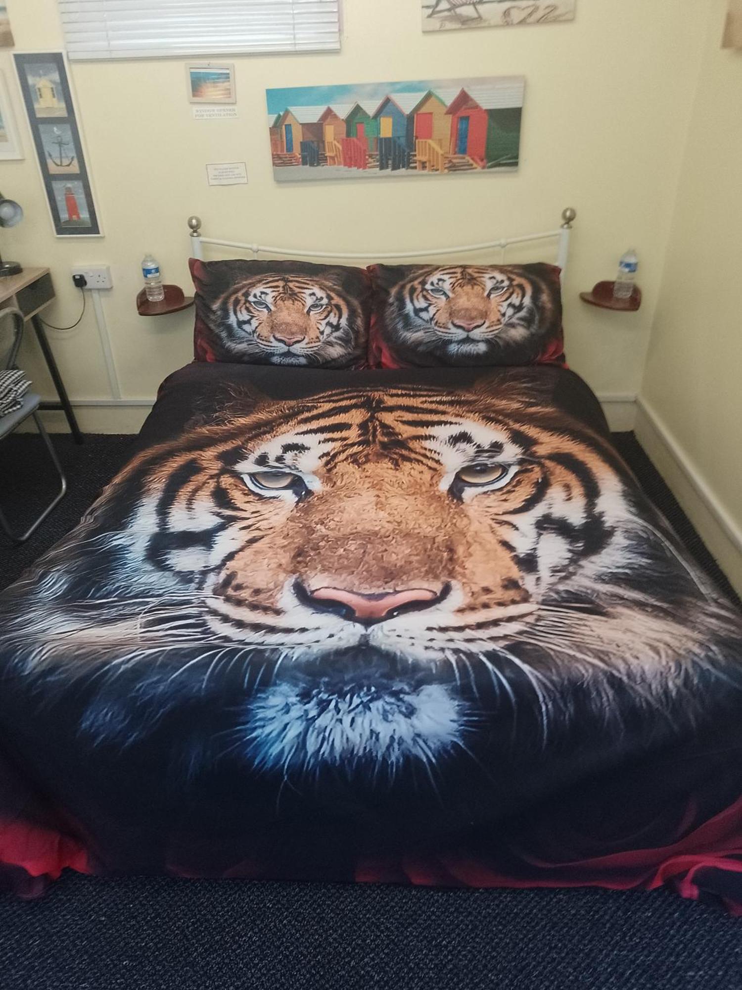Studio Pad Lejlighed Cardiff Eksteriør billede